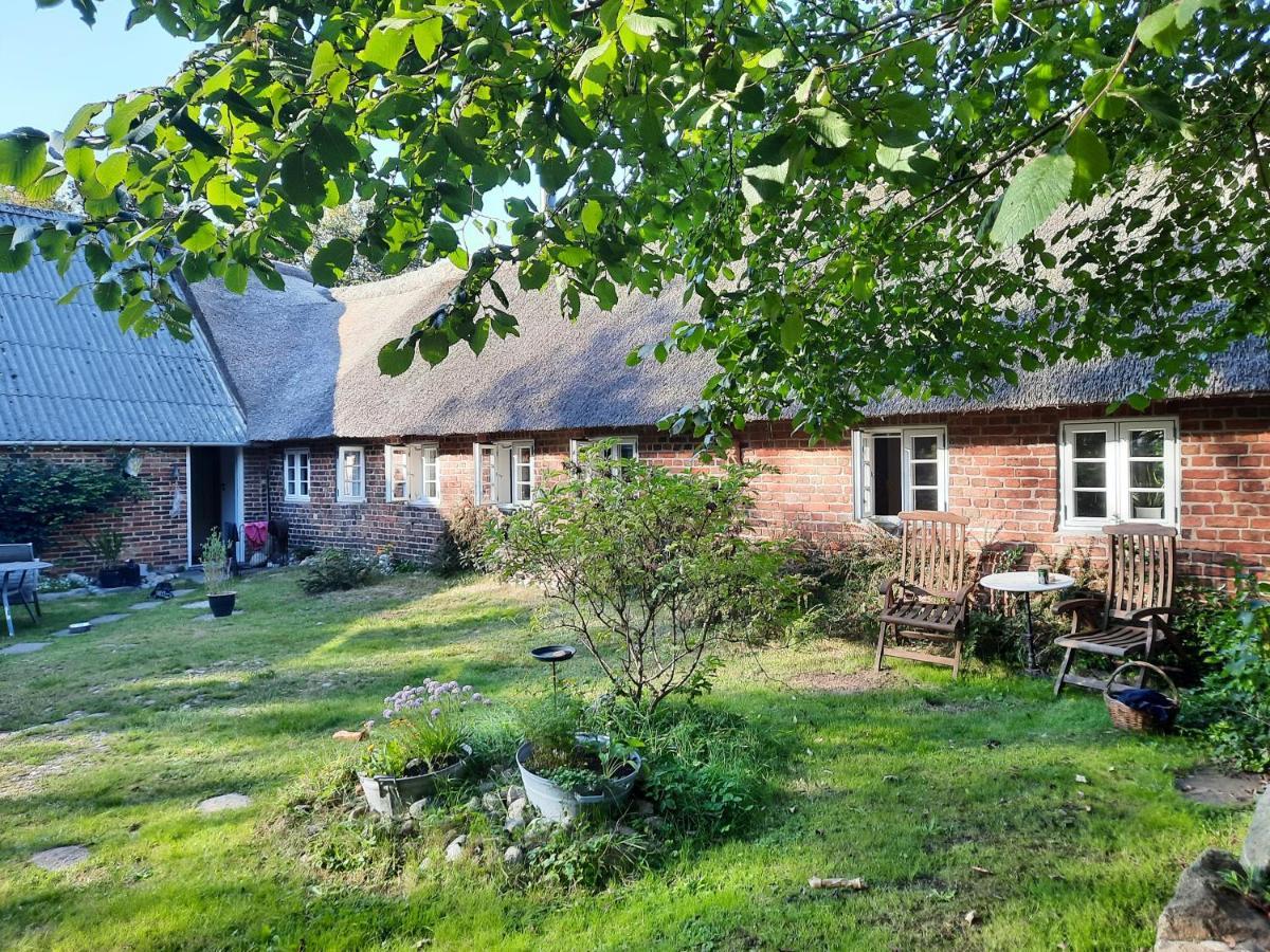 Ringkobing Fjord B&B Skjern Экстерьер фото